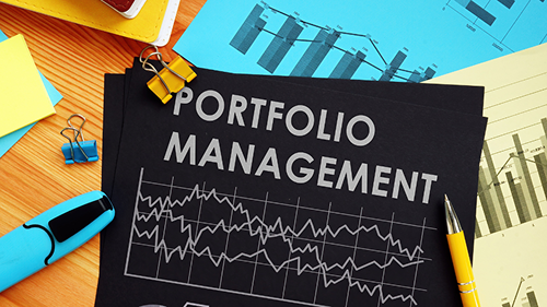 Portfolio management (PMS) service